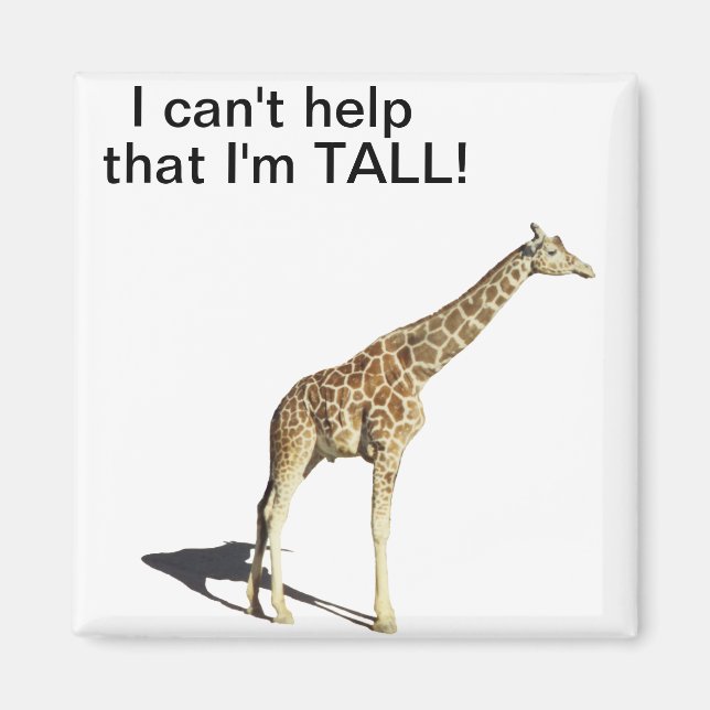 Giraffe Magnet (Framsidan)