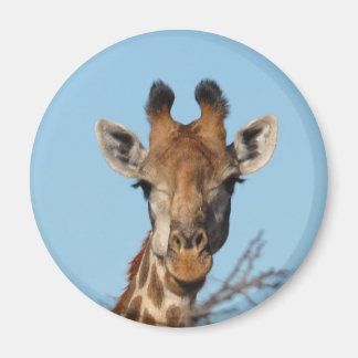 Giraffe Magnet