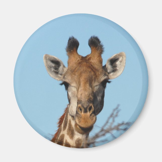 Giraffe Magnet (Framsidan)