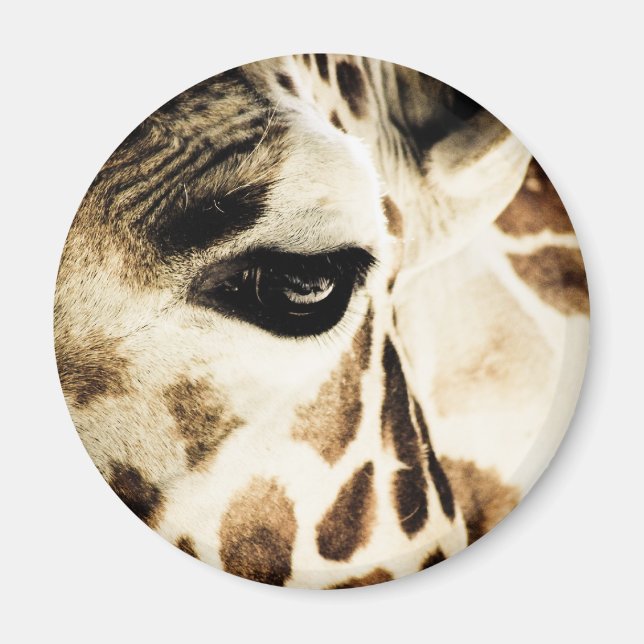 Giraffe Magnet (Framsidan)