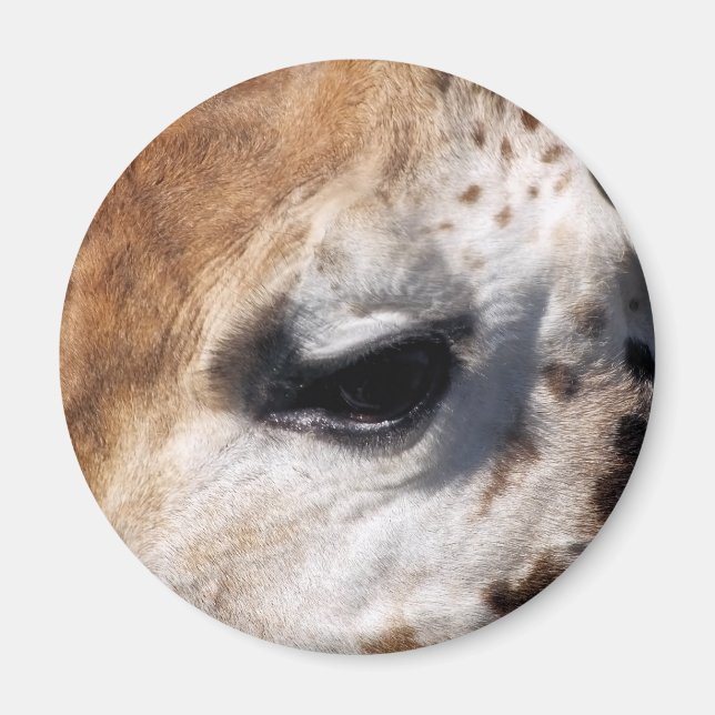 GIRAFFE MAGNET (Framsidan)