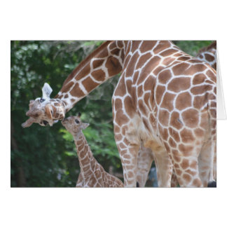 Giraffe Mamma och Baby Hälsningskort