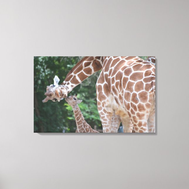 Giraffe mamma och baby Poster Canvastryck (Framsida)
