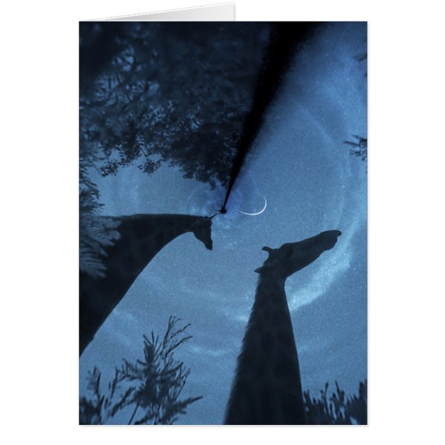 Giraffe Måne OBS Kort (Framsidan)