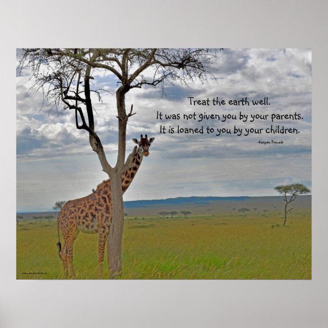 Giraffe Masai Mara , Kenyan Proverb Poster (Framsidan)