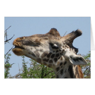 Giraffe Matande Hälsningskort