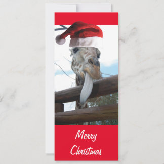 Giraffe med Jultomten Hat for christmas