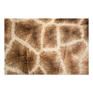 Giraffe mönster fototryck
