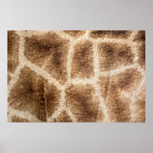 Giraffe mönster poster