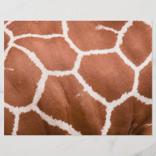 Giraffe mönster reklamblad