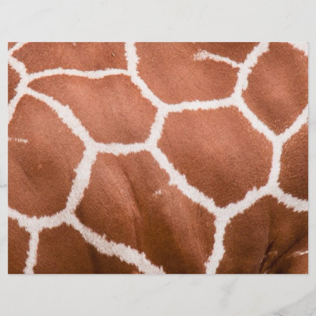 Giraffe mönster reklamblad (Framsidan)