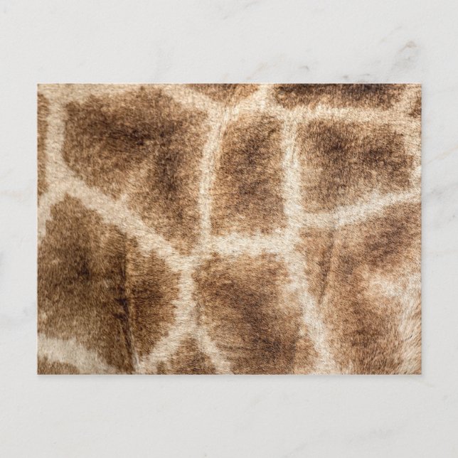 Giraffe mönster vykort (Framsida)