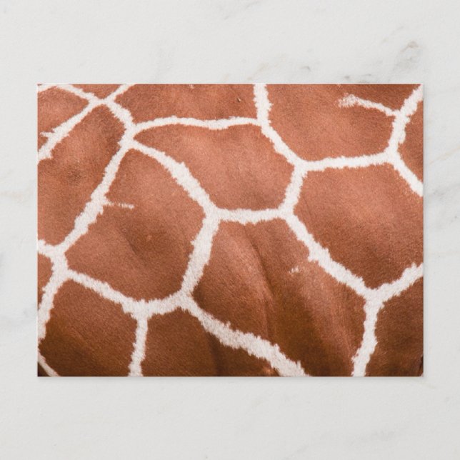 Giraffe mönster vykort (Framsida)