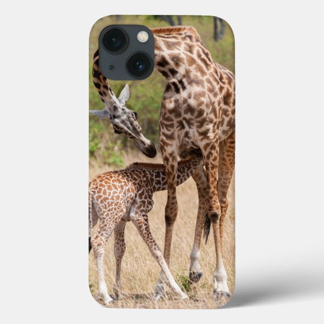 Giraffe Mor och Baby i Kenya (Baksida)