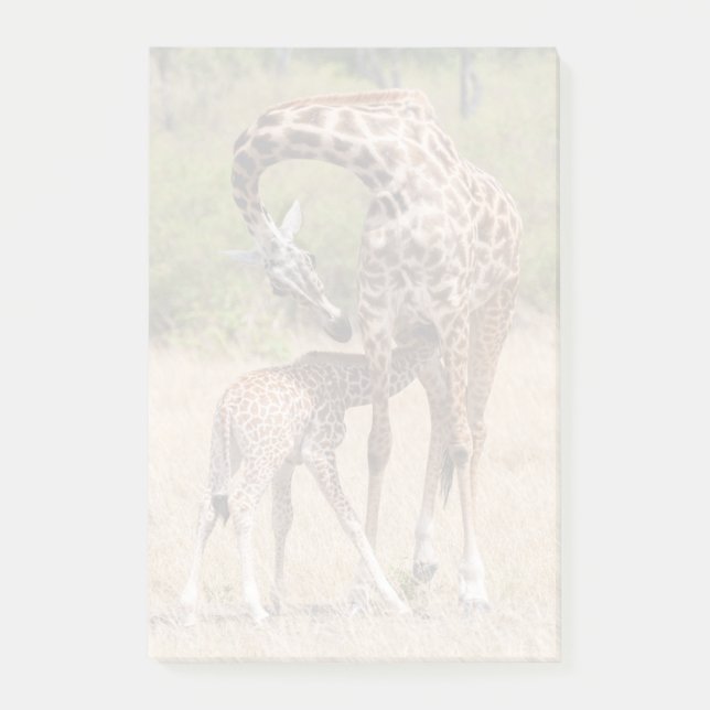 Giraffe Mor och Baby i Kenya Post-it Block (Framsida)