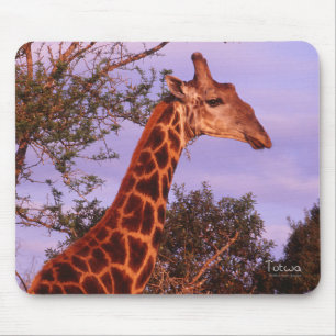 Giraffe Mousepad Musmatta
