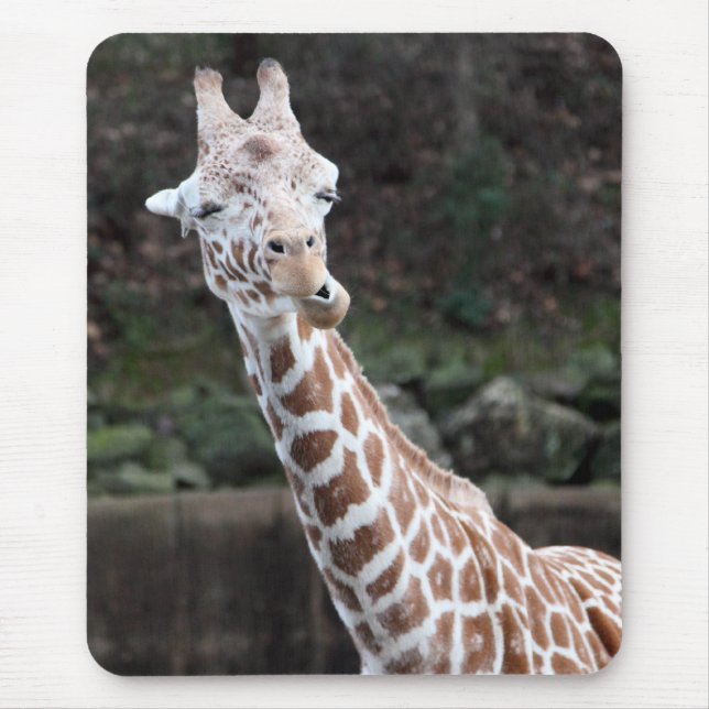 Giraffe Musmatta (Framsidan)