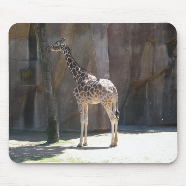 giraffe musmatta (Framsidan)