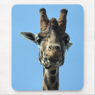 GIRAFFE MUSMATTA