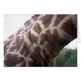 Giraffe Nacke Hälsningskort
