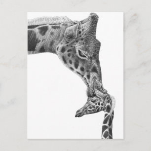 Giraffe och Calf-vykort Vykort