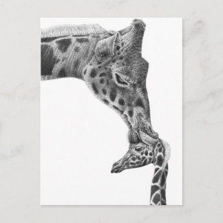 Giraffe och Calf-vykort Vykort