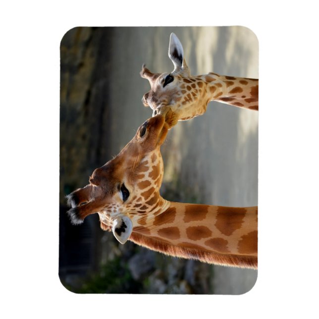 Giraffe och dess baby magnet (Vertikal)