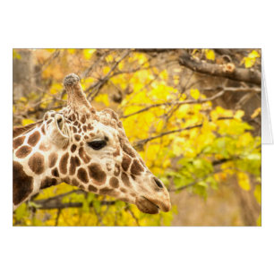 Giraffe och löv hälsningskort