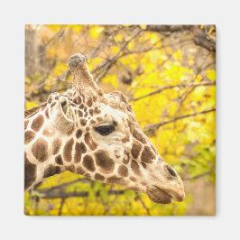 Giraffe och löv magnet