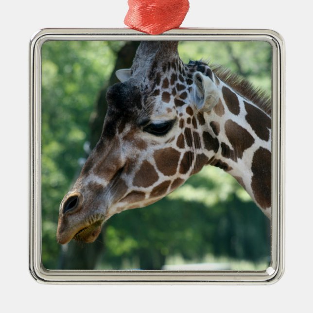 Giraffe Ornament (Framsidan)