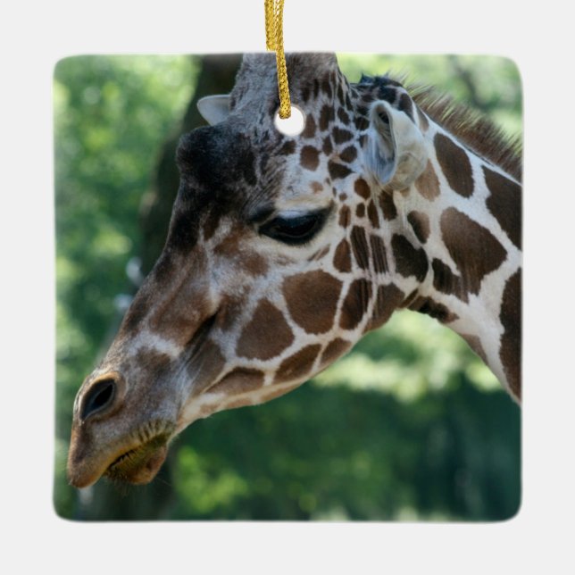Giraffe Ornament (Framsida)