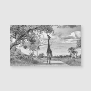 Giraffe på vägen