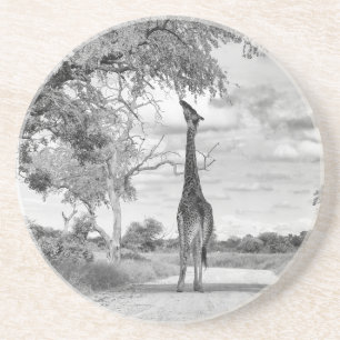 Giraffe på vägen underlägg
