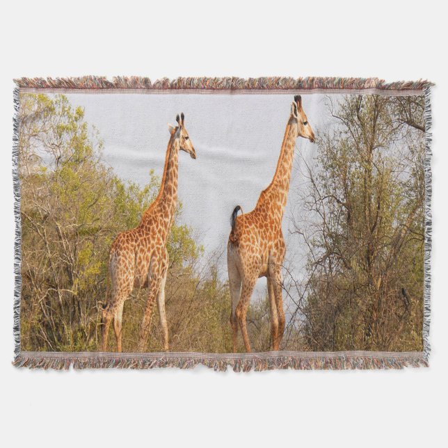 Giraffe Pair Mysfilt (Framsidan)