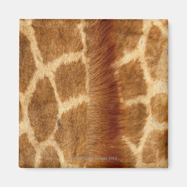 Giraffe Päls Magnet (Framsidan)