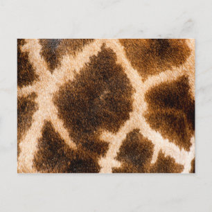 Giraffe päls mönster vykort