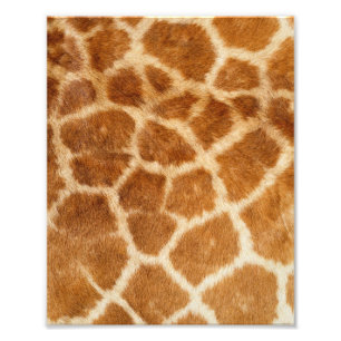 Giraffe Päls Skriv ut Fototryck