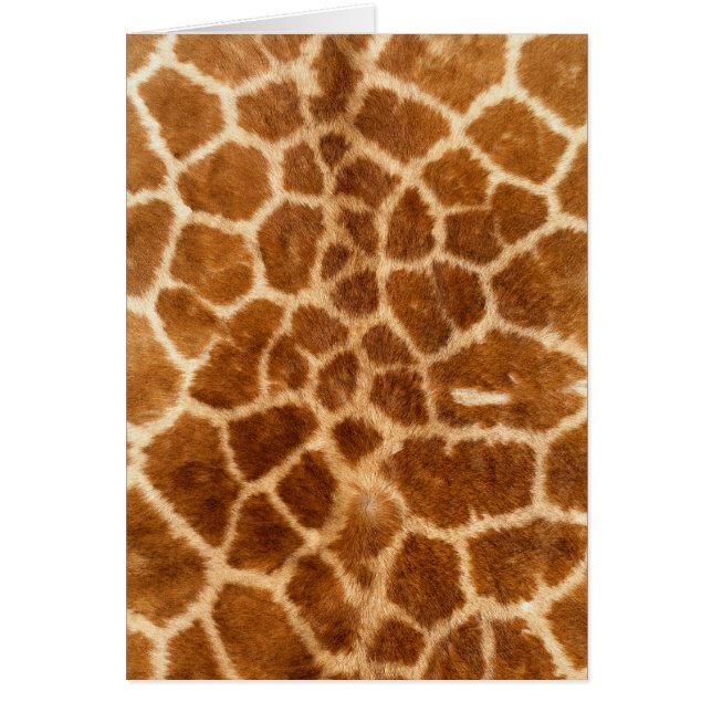 Giraffe Päls Wildlife Cards-serien Hälsningskort (Framsidan)