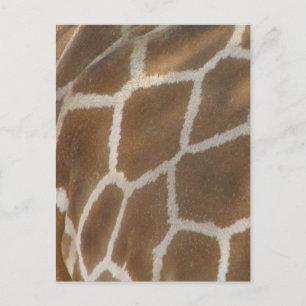 Giraffe Patterned Postcard Vykort