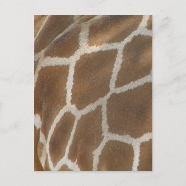 Giraffe Patterned Postcard Vykort (Framsida)