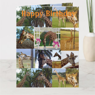 Giraffe Photo Collage, jumbo Birthday Card Kort