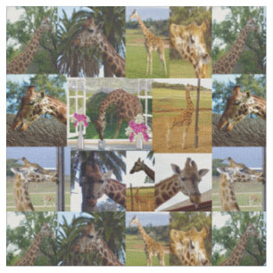 Giraffe Photo Collage Tyg