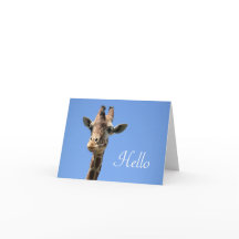 Giraffe Photo Cute Hej Blue
