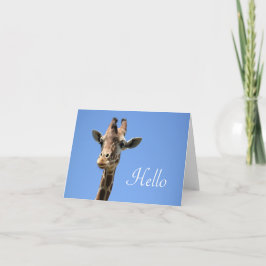 Giraffe Photo Cute Hej Blue Kort