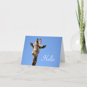 Giraffe Photo Cute Hej Blue Kort
