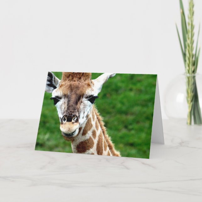 Giraffe Photo Greeting Card Kort (Framsida)