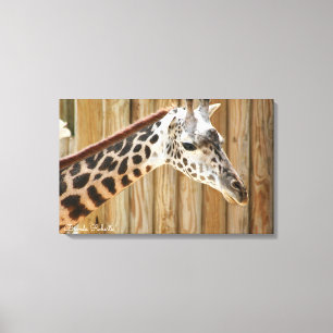 Giraffe Photograph Prints Canvastryck