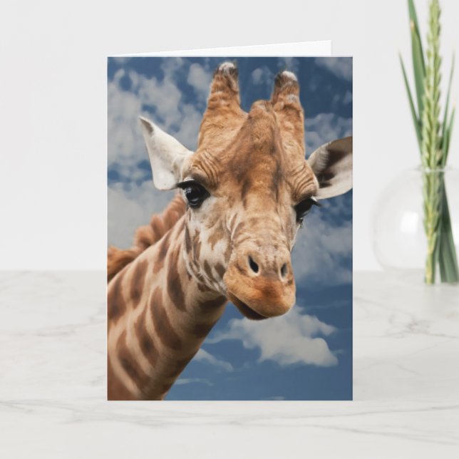 GIRAFFE PHOTOGRAPHY BIRTHDAY CARD KORT (Framsida)
