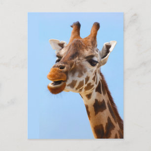 Giraffe Porträtt anpassningsbar vykort