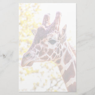 Giraffe Porträtt Brevpapper